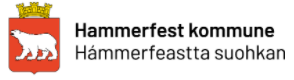 Hammerfest kommune logo.png